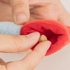 Golf Nosework Dog Toy