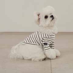 Striped Dog T-Shirt Gray
