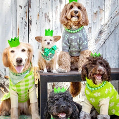Party Beast Dog Crown Green