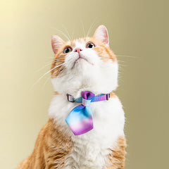 Pet Neck Tie - Rainbow