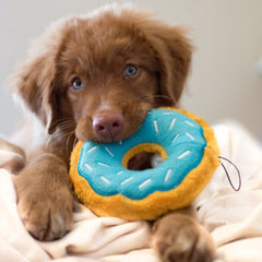 Donutz Dog Toy - Blueberry