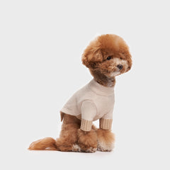 Tone on Tone Lambswool Dog Sweater Cream
