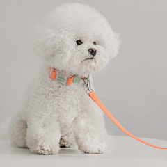 Macaron Waterproof Collar - Apricot