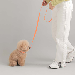 Macaron Waterproof Collar - Apricot