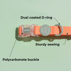 Macaron Waterproof Collar - Apricot