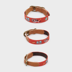 Adventure Collar Mars