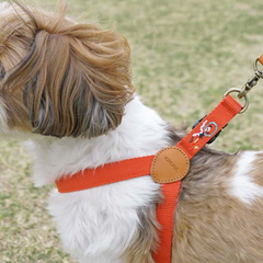 Adventure Harness Mars