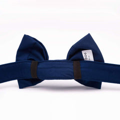 Ocean Dog Bow Tie