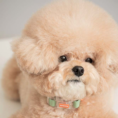 Macaron Waterproof Collar - Pistachio