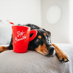 Holiday Classic Dog Toy - Ho Ho Ho Hot Chocolate