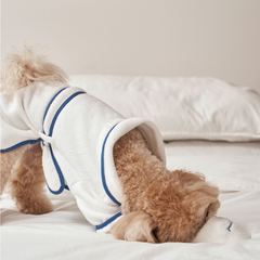 Hotel Collection - Modal Dog Bath Robe