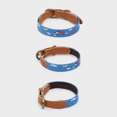 Adventure Collar Sky