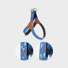 Adventure Harness Sky