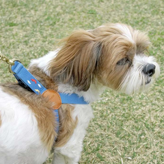 Adventure Harness Sky