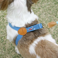 Adventure Harness Sky