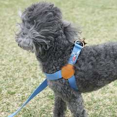 Adventure Harness Sky