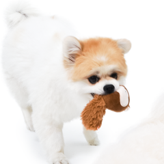 Squirrel Tunnel Nosework Dog Toy