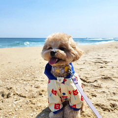 Macaron Waterproof Collar - Taro Milk Tea