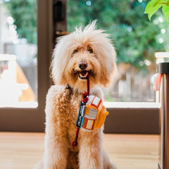 Canine Commute Dog Toy - San Pup-cisco Cable Car